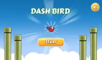 Dash Bird PangPang Screen Shot 1