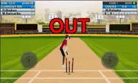 Cricket Master Blaster 2016 3D Screen Shot 4
