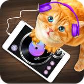 DJ Gato real simulador