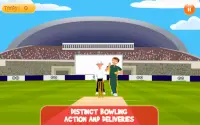 Cricket legends - Pro Screen Shot 2