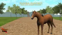 Sumba Runner : Endless Horse Runner Screen Shot 0