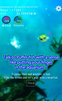 Playing with Puffer fish Screen Shot 3