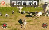 Leopard Game 3D - Симулятор для животных Safari Screen Shot 9
