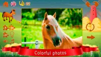 Puzzles about horses Screen Shot 5
