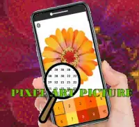 Zinnia Flowers Color By Number-Pixel Art Screen Shot 2