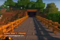 MiniCraft Prime Screen Shot 4