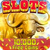 Royal buffalo slot machines