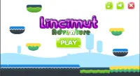 Lincimut Adventure Screen Shot 0