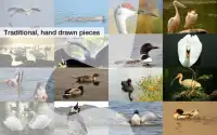 Jigsaw Puzzles: Lake Birds Screen Shot 2