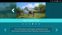 Dinosaur Master: fakty & gry Screen Shot 6