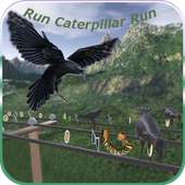 Run Caterpillar Run