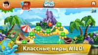Wild Cards - карточные игры онлайн и оффлайн Screen Shot 2