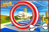 Perro loco Jump Stunt Sim 3D Screen Shot 2