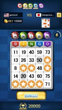 Bingo Usta Kral Screen Shot 6