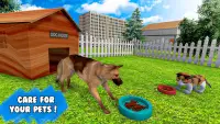 Virtual Animal Shelter Buddies Screen Shot 0