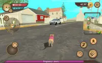 Cat Sim Online: Play with Cats Screen Shot 6
