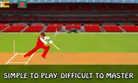 Cricket Game T20 2017 Free Screen Shot 3