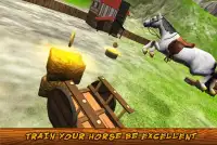 My Horse Simulator Training 3D Screen Shot 3