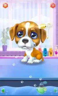 My Cute Pet Beauty Salon Screen Shot 2