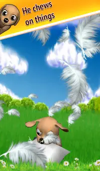 Catch Puppy Bizzy Free Kids Game Screen Shot 3
