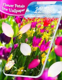 Spring Petals Live Wallpaper ❤️ Flower Wallpapers Screen Shot 5