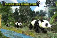Panda Family Fun: Jungle Survival Screen Shot 5