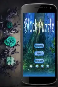 Block Puzzle Jewels Screen Shot 5
