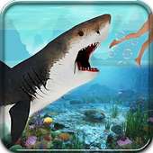 Shark Attack 2017 Wild Sim