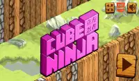 Cube Ninja Screen Shot 1