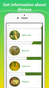 Plant Disease Identification app Screen Shot 3