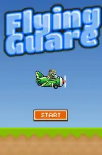 Flying Guare Screen Shot 0