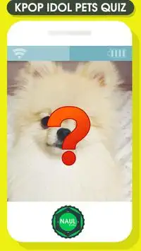 Kpop Idol Pets Quiz Game Screen Shot 4