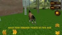 रोष Wild घोड़ा सिम्युलेटर 3 डी Screen Shot 5