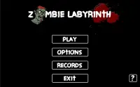 Zombie Labyrinth free Screen Shot 4