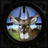 Hunting Sim: Deer Sniper 3D