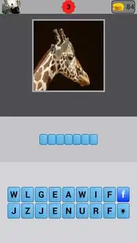 Animal Quiz Screen Shot 5