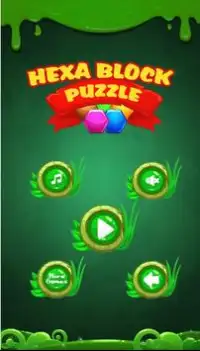 Hexa Block Puzzle - Puzzle Board Screen Shot 0