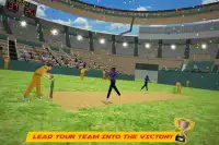 World Cricket International Fight Tournament Screen Shot 2