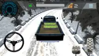 Truck Driver Simulator Plus Screen Shot 4