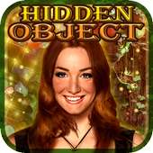 Hidden Object - Cinderella