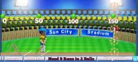 Rudra Cricket Game Screen Shot 1