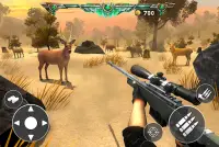 Deer Hunting Games - Animal Covert Sniper shooting Screen Shot 7
