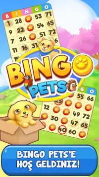 Bingo: Free the Pets Screen Shot 0