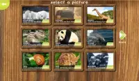 Jigsaw Puzzles with Cool Animal Pictures Screen Shot 17