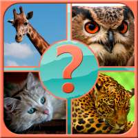 Guess the Animal