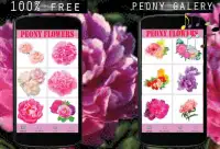 Peony Flowers Color By Number-Pixel Art Screen Shot 5