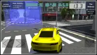 3D Car Sim Screen Shot 2