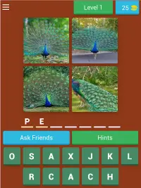 Birds Quiz Screen Shot 12