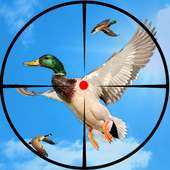 Vogeljagd-Spiele: Sniper Spiele: Bow Hunter
