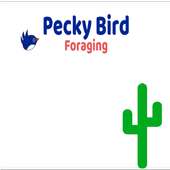 Pecky Bird Foraging